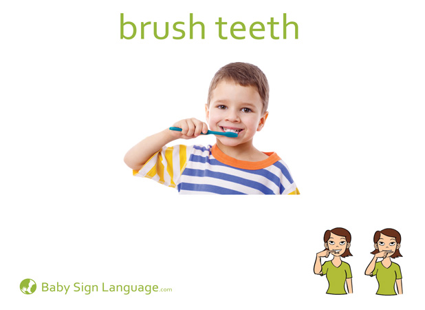 Brush teeth Baby Sign Language Flash card